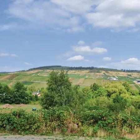 Holiday home 2 Bedroom Amazing In An Der Mosel